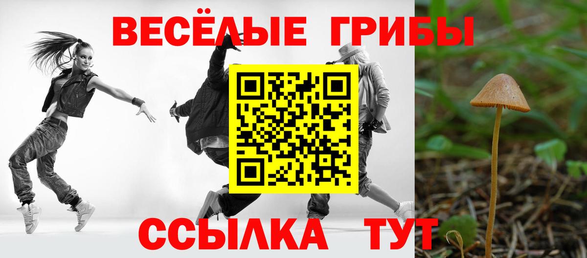 Псилоцибиновые грибы GOLDEN TEACHER Троицк